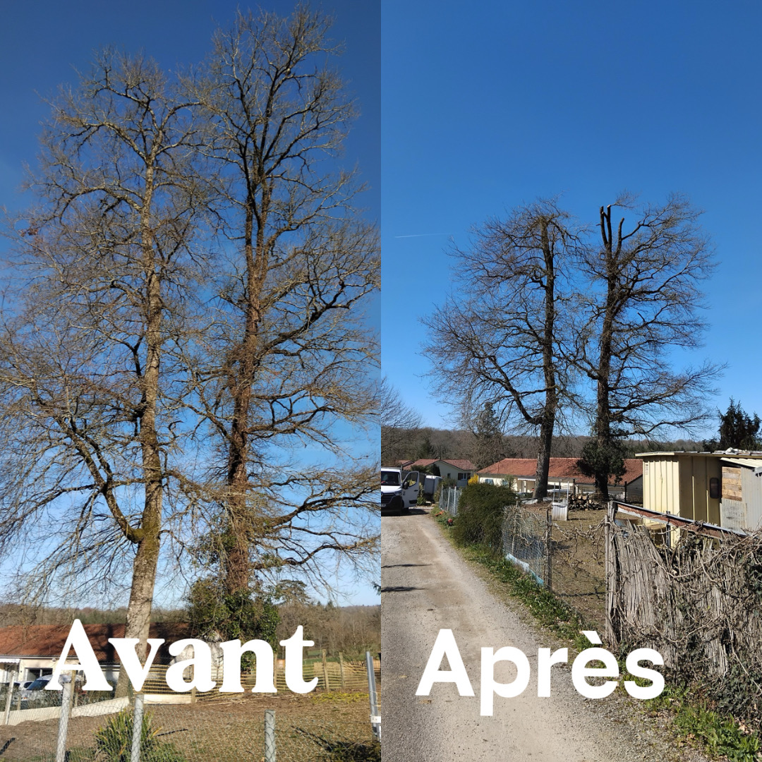 Réalisation 1