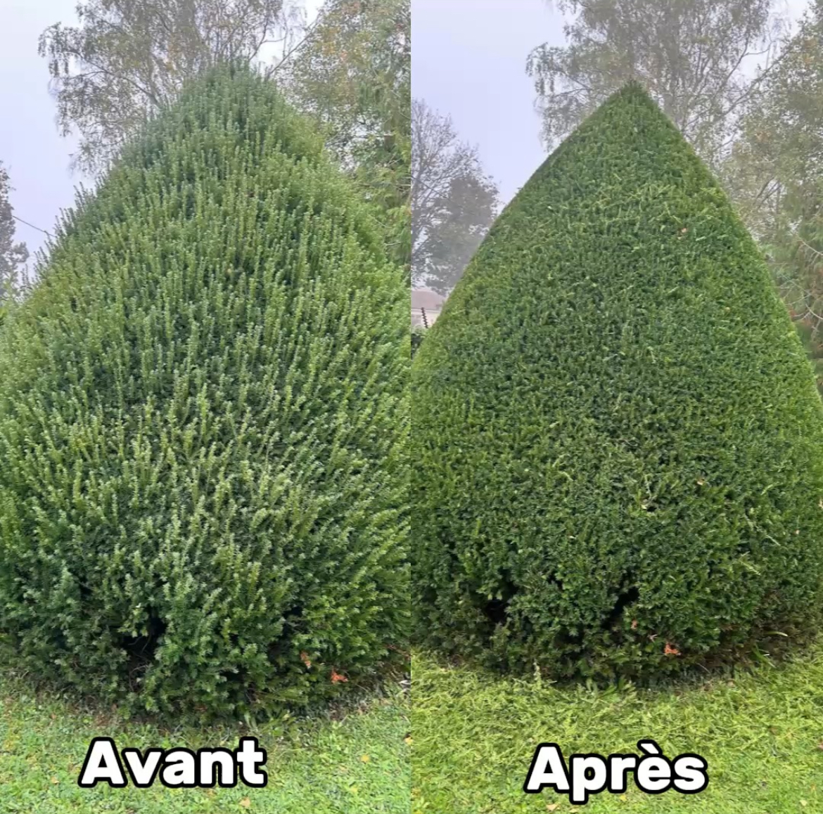 Réalisation 2